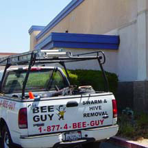 Torrance Bee Removal Guys Service Truck